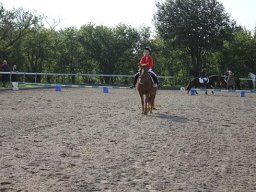 img-2862-065-877